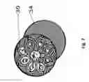 Fig. 08 - Wearable device for hiding keepsakes and valuables