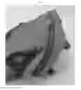 Fig. 25 - Folding duffle