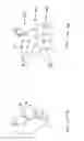 Fig. 08 - Hair brushing appliance
