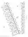 Fig. 10 - Method and apparatus for nail care