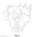 Fig. 07 - Towel cape and method