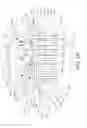 Fig. 04 - Oral care implement with product applicator