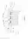 Fig. 09 - Oral care implement with product applicator
