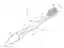 Fig. 01 - Illuminated flashing toothbrush and method of use