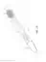 Fig. 05 - Illuminated flashing toothbrush and method of use