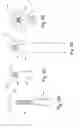 Fig. 10 - VEGETABLE GROWTH SUPPORT DEVICE