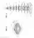 Fig. 08 - Decorative tree