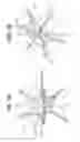 Fig. 10 - Decorative tree
