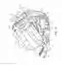 Fig. 13 - CLEANING APPLIANCE
