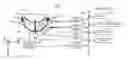 Fig. 01 - OBJECT INFORMATION ACQUIRING APPARATUS