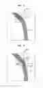 Fig. 06 - Method, apparatus, and system for providing medical image