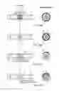Fig. 16 - METHODS FOR ASSESSING FLUID FLOW THROUGH A CONDUIT
