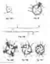 Fig. 06 - SAMPLING CATHETER DEVICES, METHODS, AND SYSTEMS