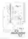 Fig. 02 - Entrapment and containment system for use with a morcellator and method of entrapping and containing material produced during morcellation procedure