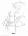 Fig. 02 - SYSTEM AND METHOD FOR MAPPING ANATOMICAL STRUCTURES AND MARKING THEM ON A SUBSTRATE
