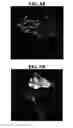 Fig. 09 - SURGICAL ROBOTS AND CONTROL METHODS THEREOF