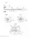 Fig. 02 - Instrument for drilling dental root canals