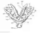 Fig. 01 - Dental implant framework