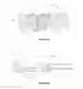 Fig. 20 - Dental implant framework