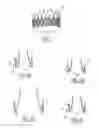 Fig. 07 - Collapsible prosthetic valve