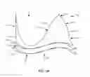 Fig. 03 - Replacement heart valves and their methods of use and manufacture
