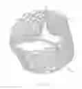Fig. 02 - REDUCED PROFILE VALVE WITH LOCKING ELEMENTS