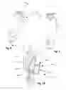 Fig. 09 - PROSTHETIC WITH VOICE COIL VALVE