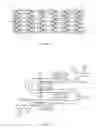 Fig. 32 - Biodegradable endoprostheses and methods for their fabrication