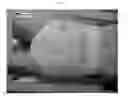 Fig. 09 - ABSORBENT ARTICLES HAVING A PULPLESS ABSORBENT CORE WITH IMPROVED PERFORMANCE