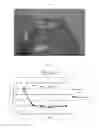 Fig. 02 - Oral care compositions