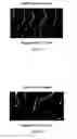Fig. 03 - Compositions and method for thermal protection of hair