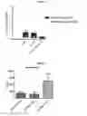 Fig. 02 - GEL COMPOSITIONS