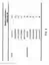 Fig. 10 - Viral vector nanocapsule for targeting gene therapy and its preparation