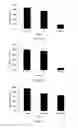 Fig. 08 - COMBINATION THERAPY FOR CANCER