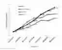 Fig. 16 - COMBINATION THERAPY FOR CANCER