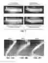 Fig. 08 - Methods For Bone Treatment By Modulating An Arachidonic Acid Metabolic or Signaling Pathway