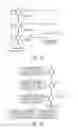Fig. 02 - Compositions and methods for treating neurological diseases or injury