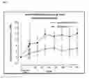 Fig. 08 - FORMULATIONS AND METHODS OF TREATING ALZHEIMER'S DISEASE AND OTHER PROTEINOPATHIES BY COMBINATION THERAPY