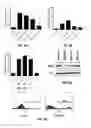 Fig. 06 - METHODS AND COMPOSITIONS FOR TREATING CANCER