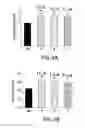 Fig. 04 - METHODS OF TREATING DIABETES BY ADMINISTERING A GLUCAGON RECEPTOR ANTAGONIST IN COMBINATION WITH A CHOLESTEROL ABSORPTION INHIBITOR
