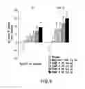 Fig. 06 - METHODS OF TREATING DIABETES BY ADMINISTERING A GLUCAGON RECEPTOR ANTAGONIST IN COMBINATION WITH A CHOLESTEROL ABSORPTION INHIBITOR