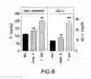 Fig. 07 - METHODS OF TREATING DIABETES BY ADMINISTERING A GLUCAGON RECEPTOR ANTAGONIST IN COMBINATION WITH A CHOLESTEROL ABSORPTION INHIBITOR