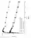 Fig. 08 - NOVEL COMPOSITIONS AND METHODS FOR TREATING PROSTATE CANCER