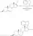 Fig. 28 - NOVEL COMPOSITIONS AND METHODS FOR TREATING PROSTATE CANCER