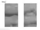 Fig. 15 - Compositions and methods for improving human health and nutrition