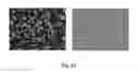 Fig. 08 - Non-replicating virus-derived particles and uses thereof