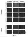 Fig. 11 - Non-replicating virus-derived particles and uses thereof