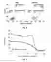 Fig. 12 - Non-replicating virus-derived particles and uses thereof
