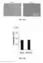 Fig. 20 - Non-replicating virus-derived particles and uses thereof
