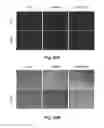 Fig. 27 - Non-replicating virus-derived particles and uses thereof